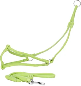Dogline Soft Round/Rolled Genuine Leather Step-In Harness with 15 to 20-Inch Chest and 36-Inch Leash, Green