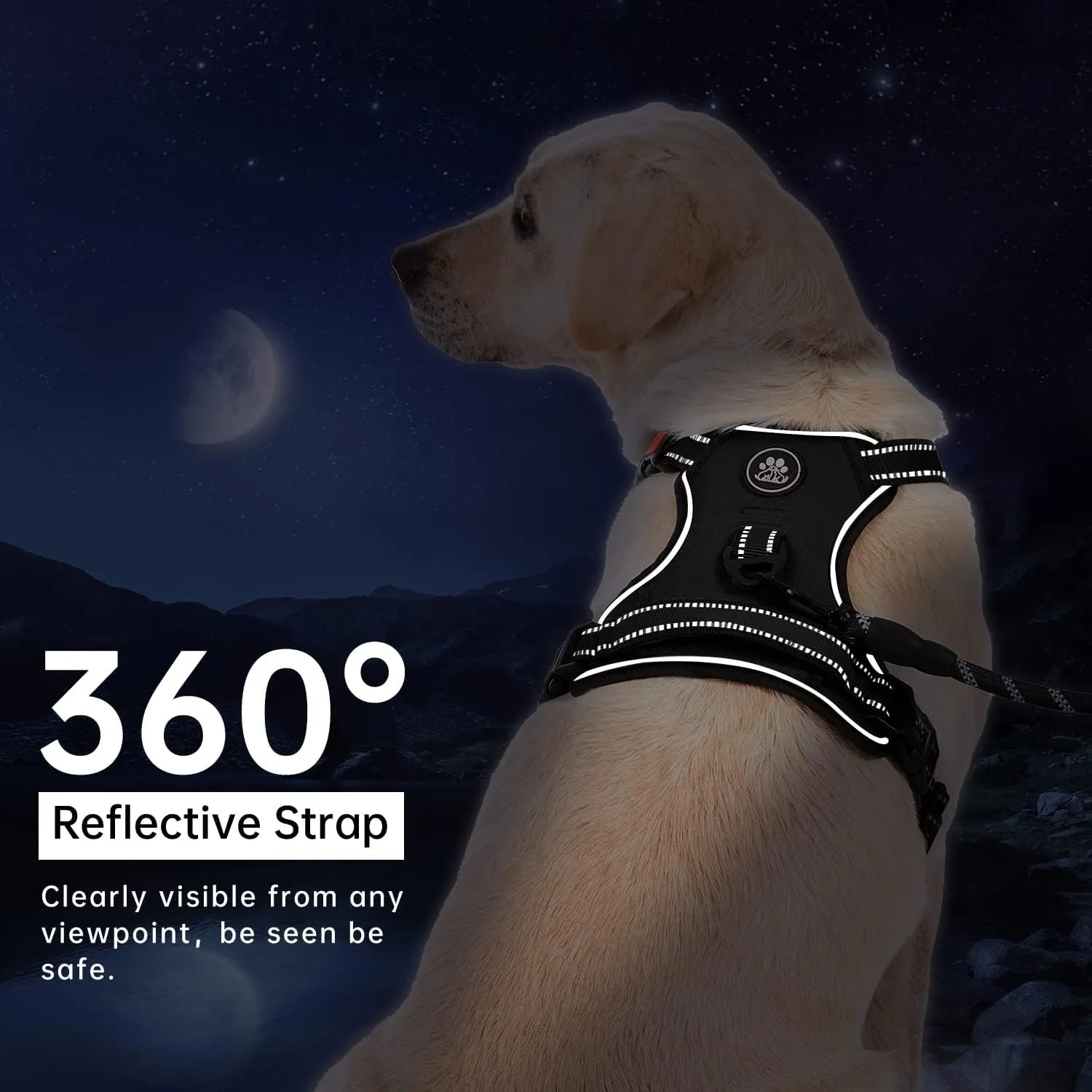 IVY&LANE No Pull Dog Harness for Small Dogs, Dog Vest Harness with Leash, Safety Belt and Storage Strap, Fully Adjustable Harness, 360 Reflective Strip, Soft Handle (Black, S)