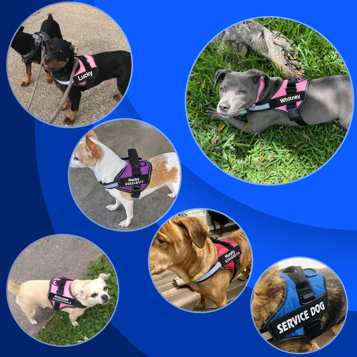 MUMUPET Custom No Pull Dog Harness with Name and Phone Number, Heavy Duty Personalized Pet Vest, 3M Reflective Breathable & Easy Adjust Pet Halters No More Tugging, Pulling, or Choking
