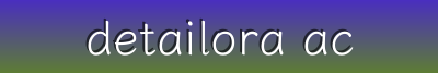 Detailora Accessories | Fashion Add-ons for Head, Hand, Foot & Outfit Styling